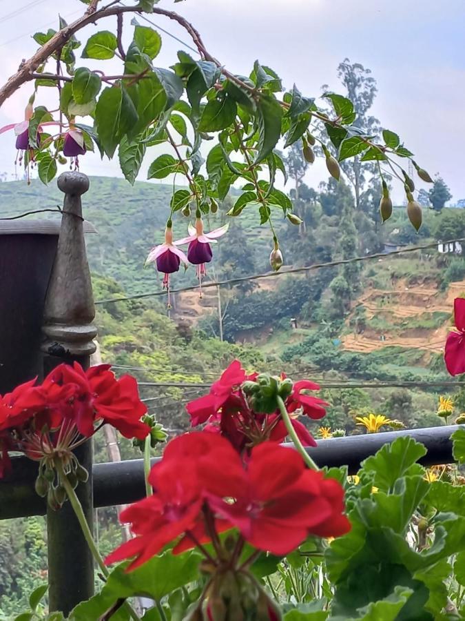 Lake Breeze Nuwara Eliya Exterior photo